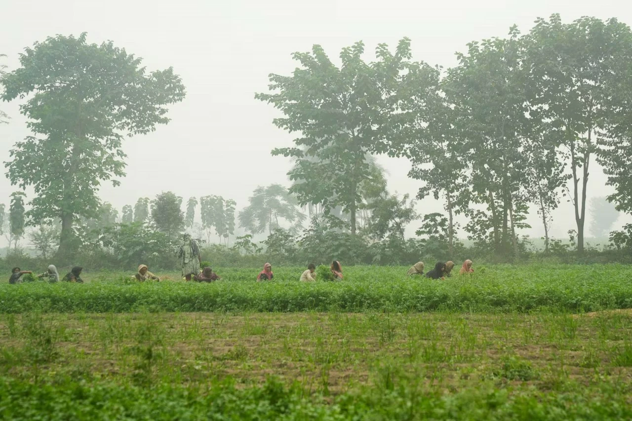 Người dân Pakistan chật vật dưới khói mù do ô nhiễm không khí