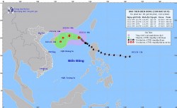 Dự báo bão số 8: Chủ yếu di chuyển theo hướng Tây Tây Bắc, trên vùng biển Đông Bắc của khu vực Bắc Biển Đông