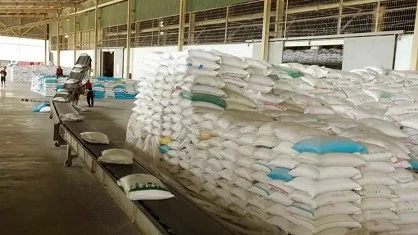 Vietnam aims to increase market share of rice exports in Africa