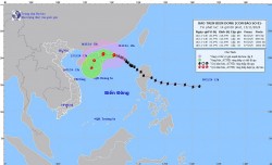 Dự báo bão số 8: Liên tục đổi hướng di chuyển trên Bắc Biển Đông, sóng gần tâm bão cao 4-6m