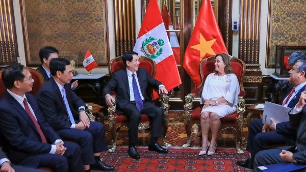 Vietnamese, Peruvian Presidents hold talks to deepen relations