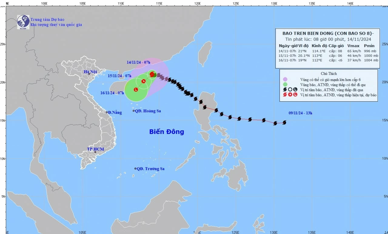 Dự báo bão số 8: