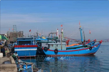 Quang Nam aims to deal with “three no’s” fishing vessels in November