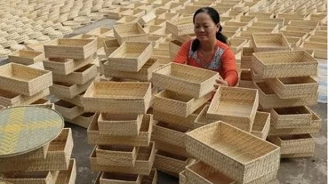 Exports of bamboo, rattan, sedge, carpet products reach 594.8 million USD