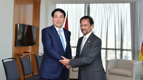 President Luong Cuong meets with Sultan of Brunei Darussalam Hassanal Bolkiah