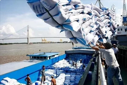 Vietnam to set new record in rice exports in 2024