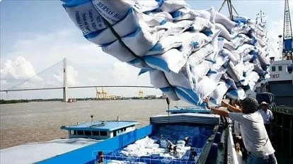 Vietnam to set new record in rice exports in 2024 despite challenges