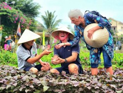 Quảng Nam: UN Tourism vinh danh làng rau Trà Quế là ‘Làng Du lịch tốt nhất năm 2024’