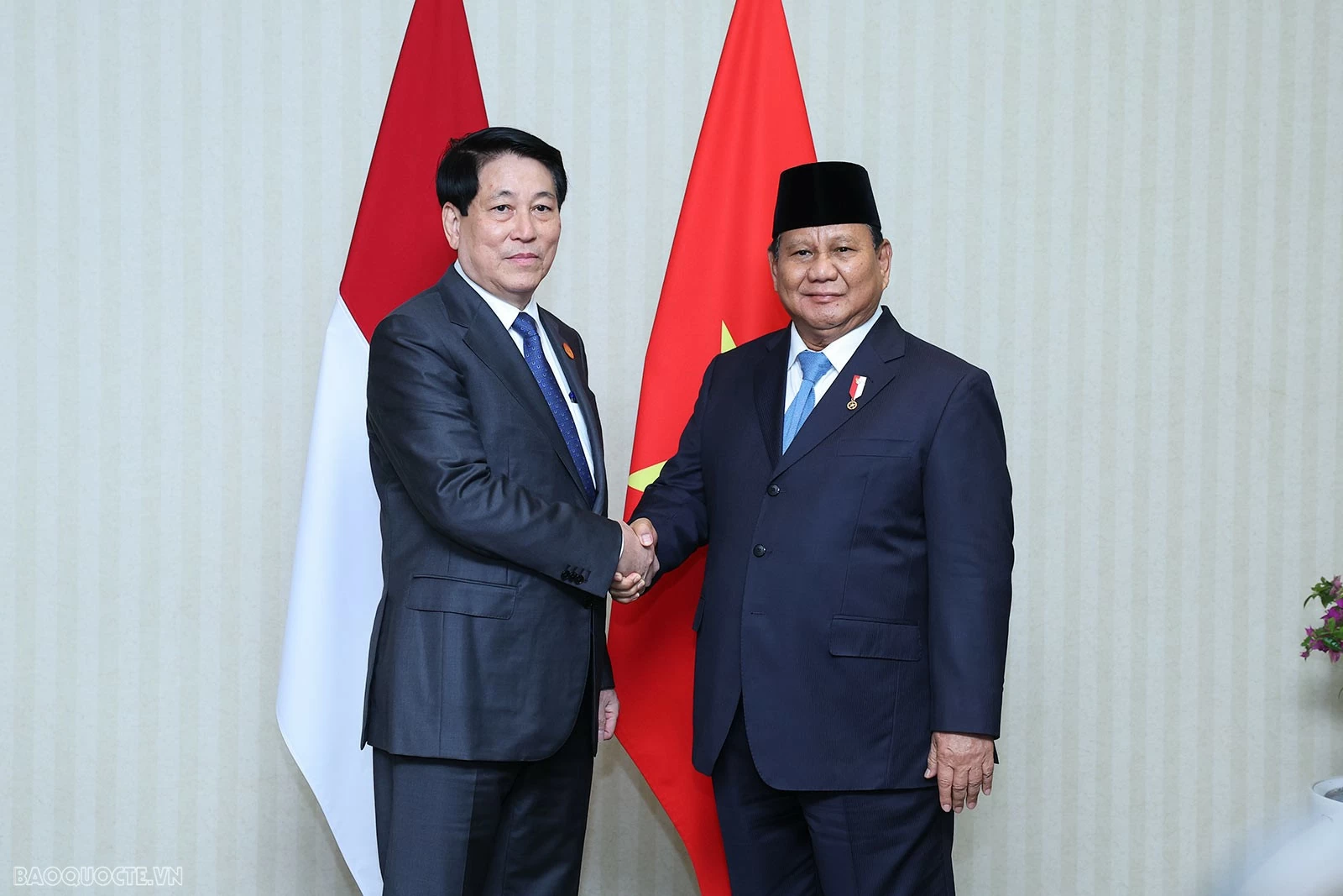 President Luong Cuong meets with Indonesian counterpart