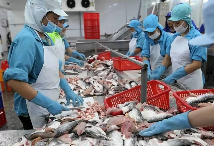 Tra fish sector aiming for production, processing greening for sustainable development