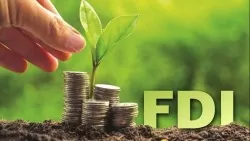 Thu hút vốn FDI xanh: Lợi thế nhiều, thách thức lớn