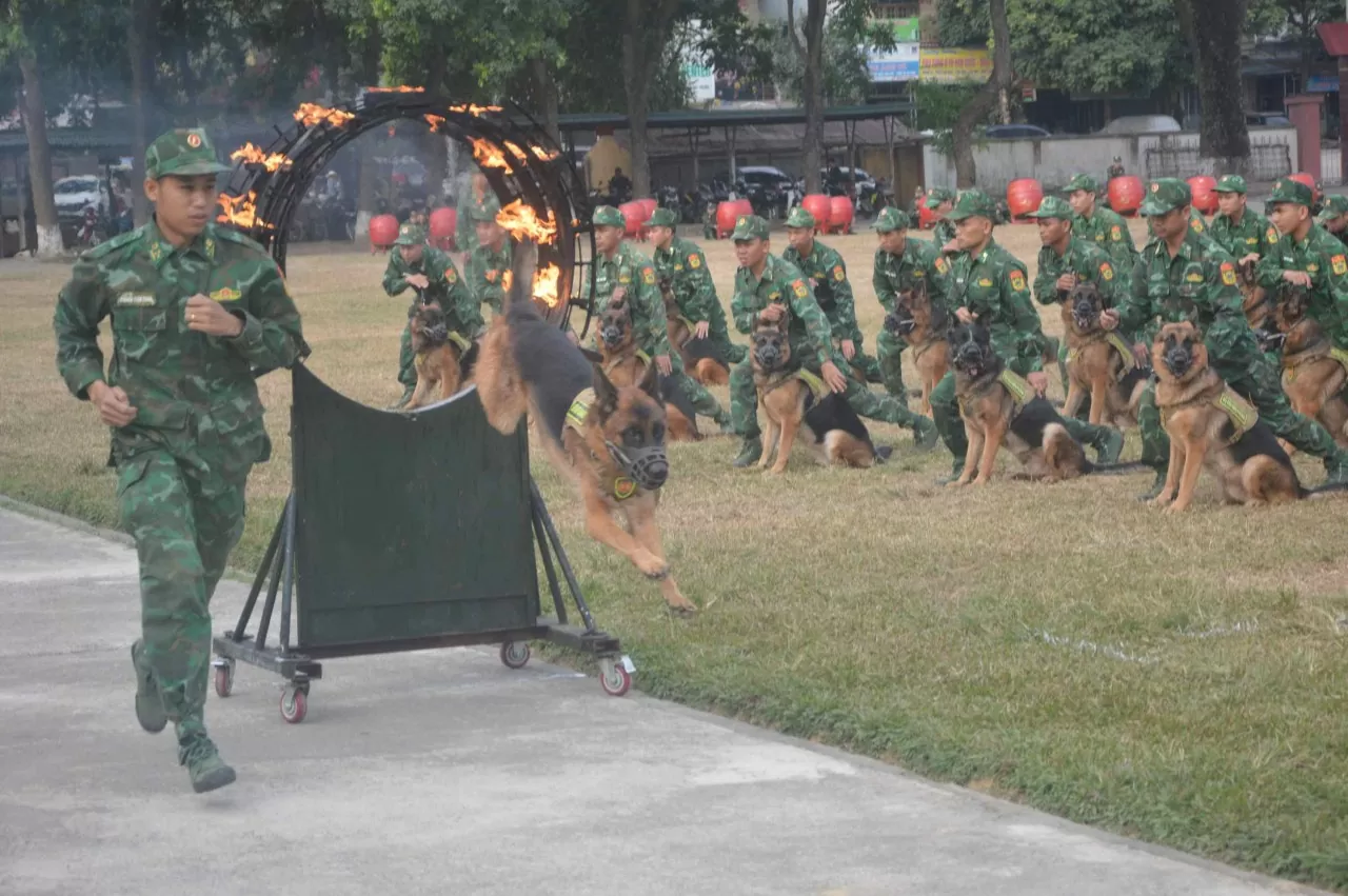 Những 'chiến sĩ đặc biệt' tại Triển lãm quốc phòng quốc tế Việt Nam 2024