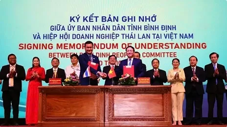 Meeting in Binh Dinh enhances cooperation with Thai businesses