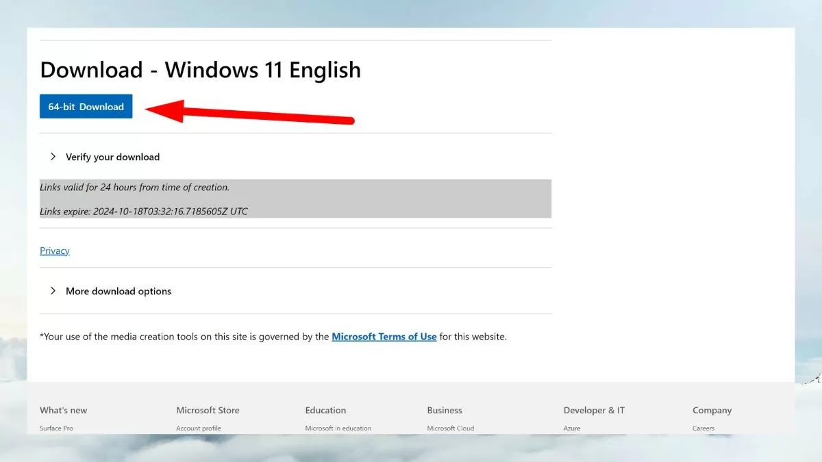 Cách download Windows 11 ISO chính thức từ Microsoft hiệu quả nhất