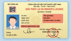 Hướng dẫn đăng ký kiểm tra phục hồi điểm giấy phép lái xe từ năm 2025