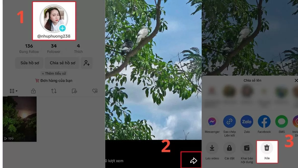 Xoá nhật ký TikTok nhanh chóng