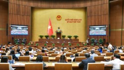 Hôm nay 26/11, Quốc hội dành cả ngày nghe, thảo luận về công tác phòng, chống tội phạm, tham nhũng, khiếu nại tố cáo, thông qua 3 luật