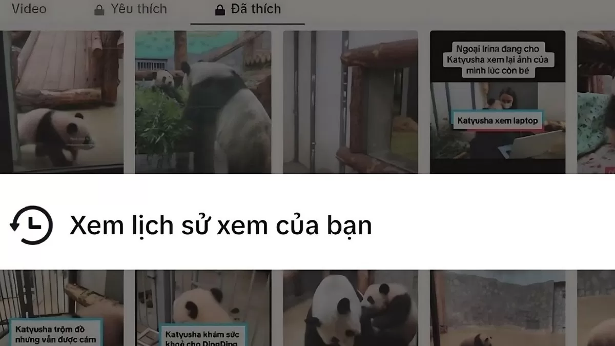 Cách xem lịch sử trên TikTok một cách nhanh chóng nhất Cách xem lịch sử trên TikTok một cách nhanh chóng nhất