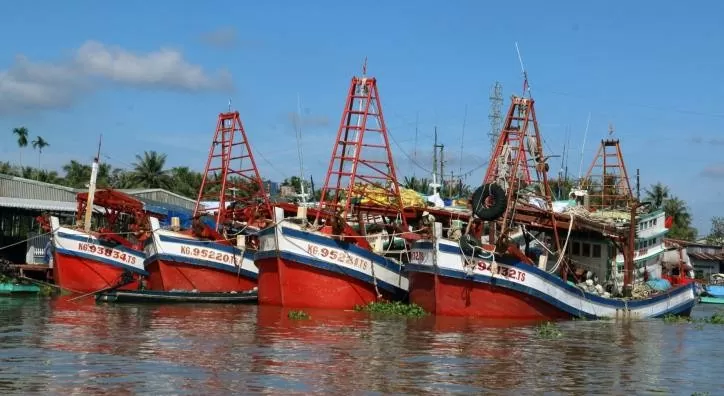 Kien Giang sees positive changes in combating IUU fishing