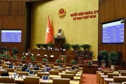 National Assembly deputies discuss bill on corporate income tax