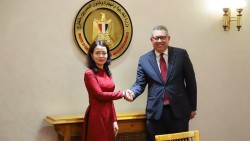 Ai Cập mong muốn phát triển 'không giới hạn' quan hệ với Việt Nam