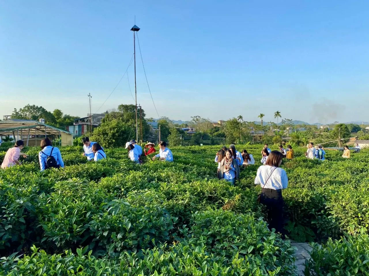 Về nguồn tại Thái Nguyên: Báo Thế giới và Việt Nam khẳng định tinh thần báo chí cách mạng