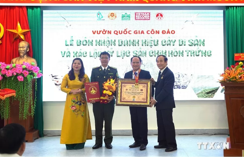 Con Dao national park awarded Vietnam record for Hon Trung seabird nesting site