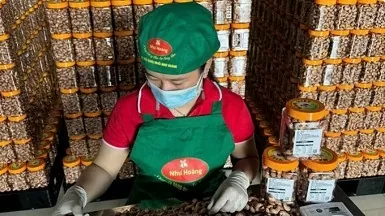 Southern Binh Phuoc province develops OCOP products