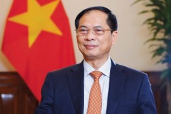 Deputy Prime Minister, Minister of Foreign Affairs Bui Thanh Son and Spouse will visit Laos