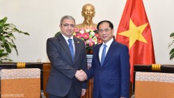 Phó Thủ tướng Bùi Thanh Sơn đề nghị Đại sứ Azerbaijan thúc đẩy hợp tác giao thông vận tải đường không và đường sắt liên quốc gia