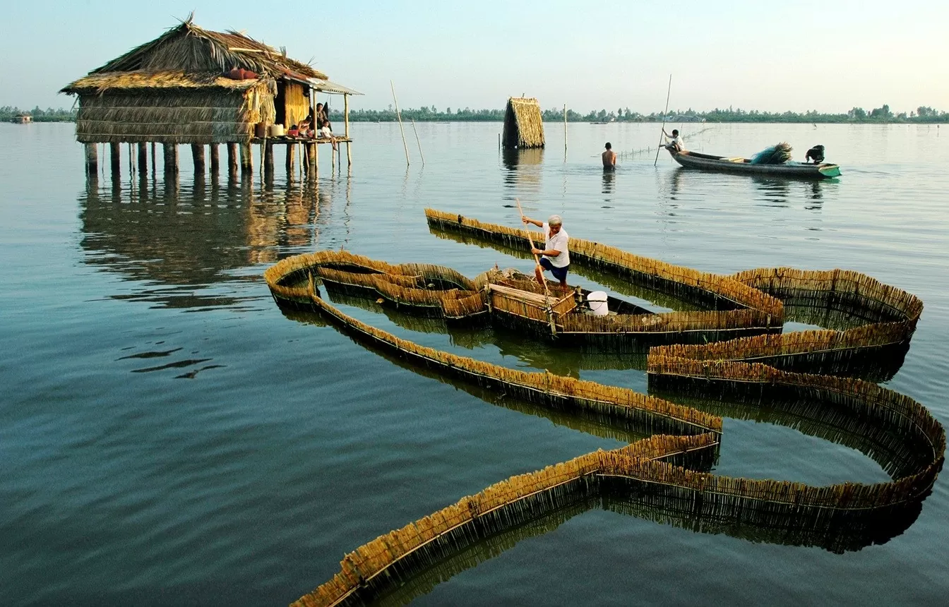 Ngư dân đặt nò trên đầm Thị Tường. Ảnh: Nguyễn Thanh Dũng/Cà Mau Tourism Ngư dân đặt nò trên đầm Thị Tường. Ảnh: Nguyễn Thanh Dũng/Cà Mau Tourism
