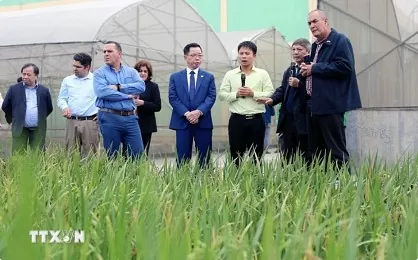 Cuban delegation explores agricultural production in Thai Binh