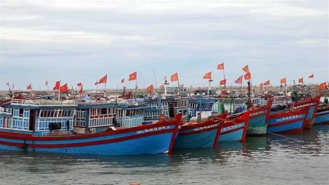 Thanh Hoa strives to thoroughly handle “three-no's”, “two-no's” fishing boats