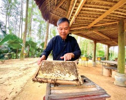 Nghề nuôi ong truyền thống: Sứ giả gieo duyên của người Tày