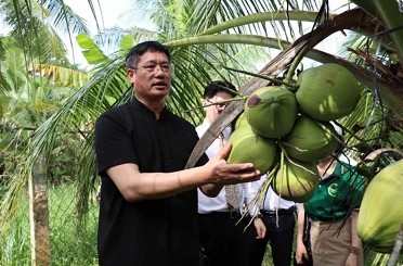 Vietnam’s coconut industry eyes billion-dollar markets