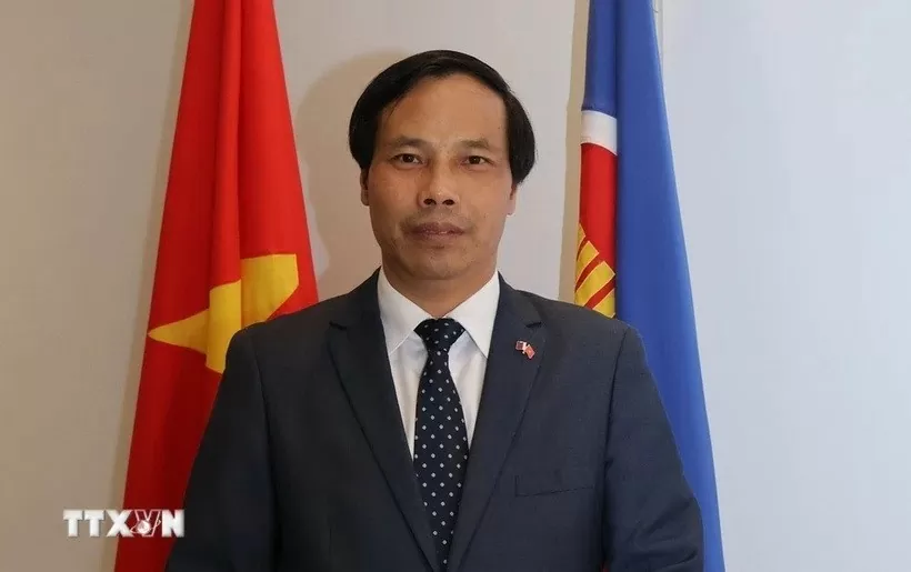 Energy cooperation constitutes bright spot in Vietnam-Qatar relations: Ambassador