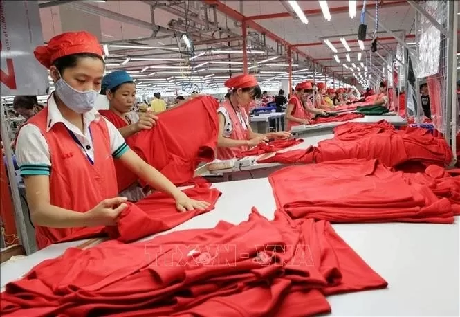 Vietnam-US trade growth on effective mechanisms: Trade Office