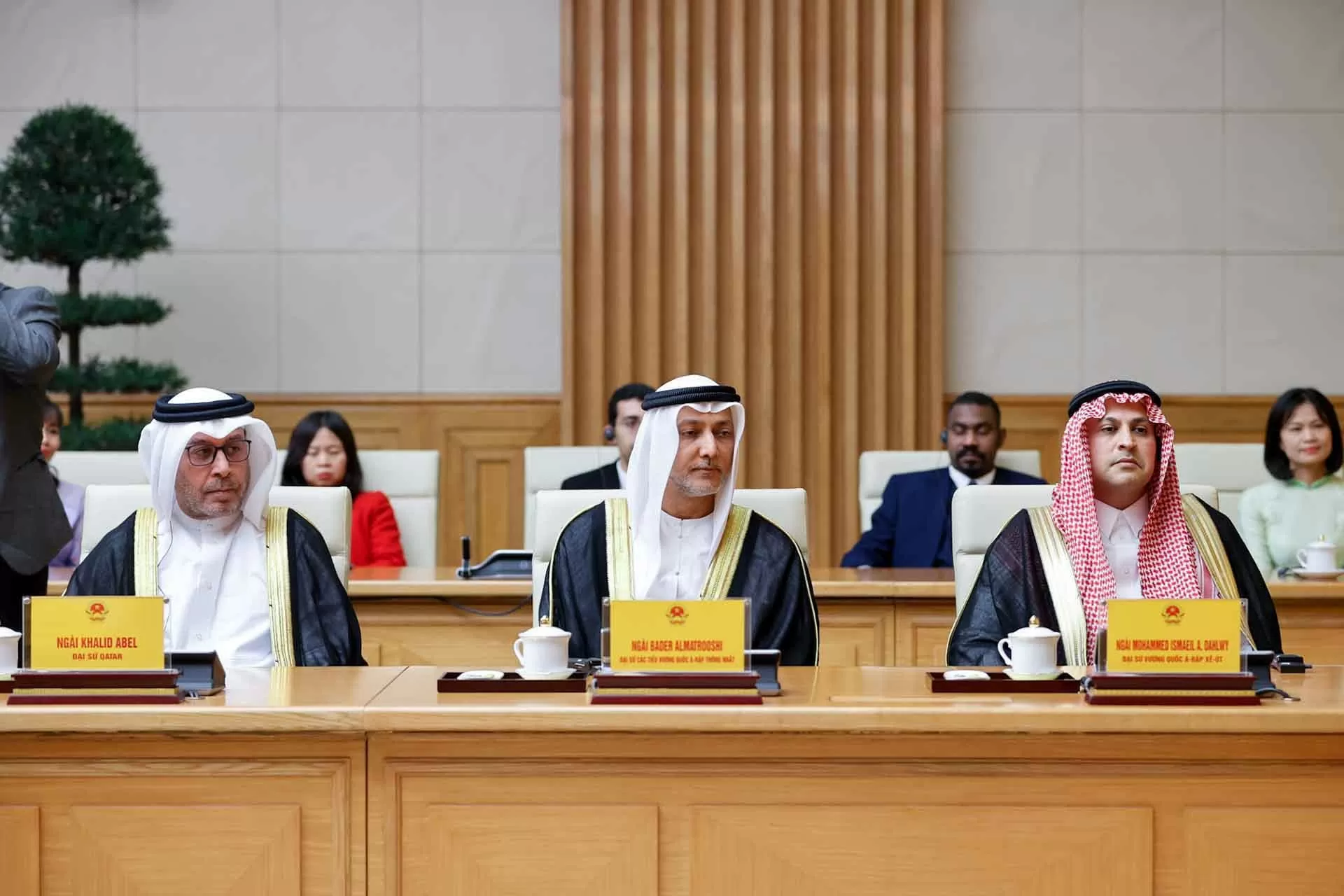 PM Pham Minh Chinh urges realisation of high-level agreements with Saudi Arabia, UAE, Qatar