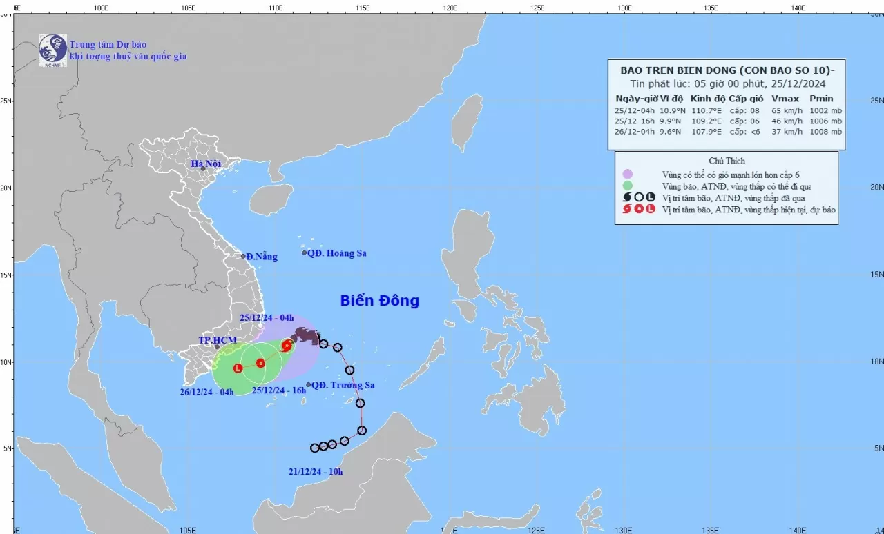 Dự báo