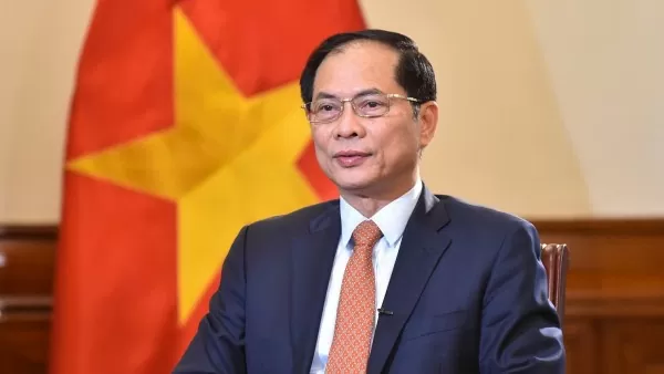 Deputy PM, FM Bui Thanh Son highlights diplomatic achievements in 2024 creating momentum for Vietnam’s new era