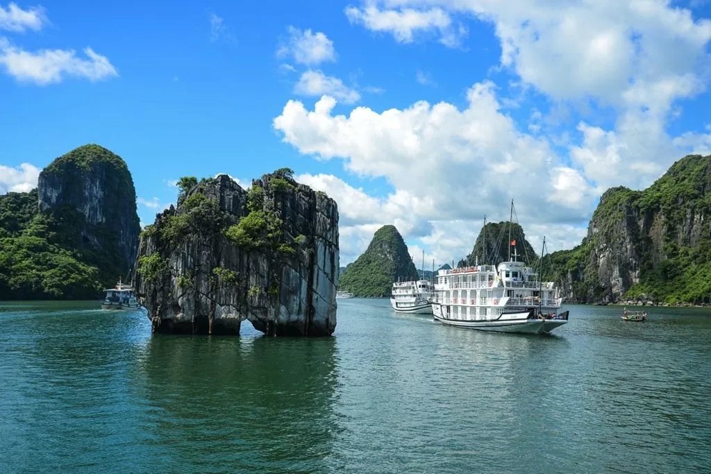 Ha Long city well positioned to develop green economy: experts