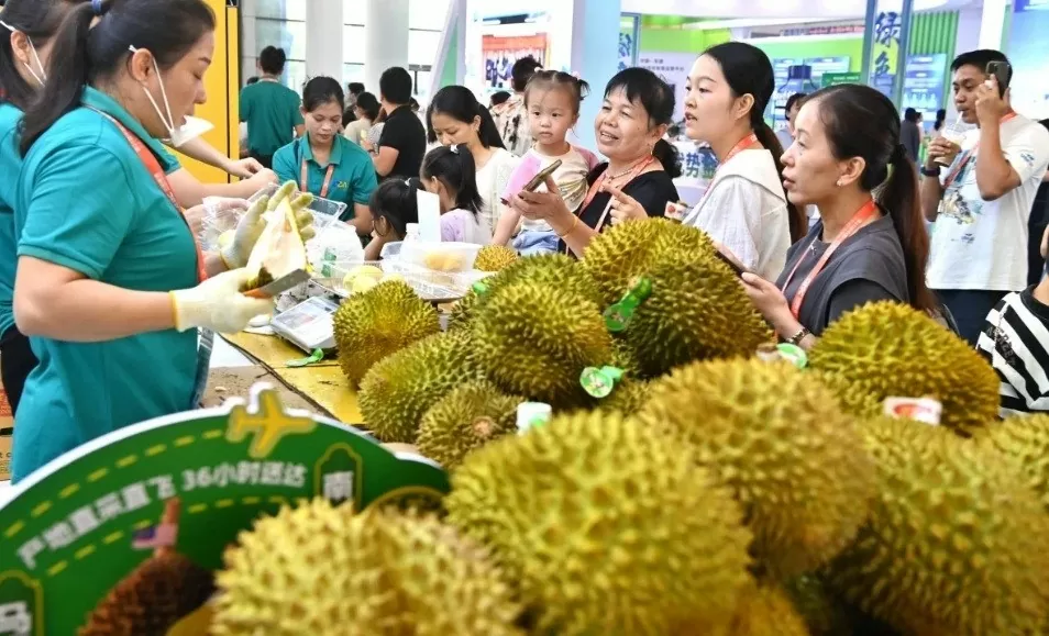 Dân Trung Quốc phát cuồng vì sầu riêng, Việt Nam lần đầu vượt Thái Lan trở thành nhà cung cấp hàng đầu Dân Trung Quốc phát cuồng vì sầu riêng, Việt Nam lần đầu vượt Thái Lan trở thành nhà cung cấp hàng đầu