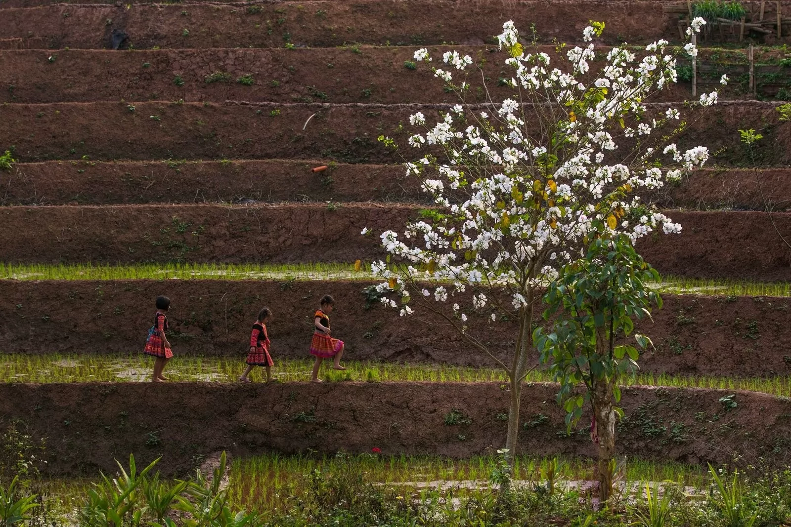 Hòa Bình có nhiều điểm lưu trú đẹp, nổi tiếng tập trung tại Mai Châu, Kim Bôi hay Lương Sơn. (Nguồn: Vnxpress) Hòa Bình có nhiều điểm lưu trú đẹp, nổi tiếng tập trung tại Mai Châu, Kim Bôi hay Lương Sơn. (Nguồn: Vnxpress)