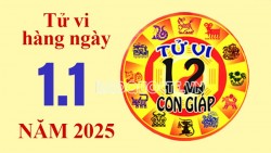 Tử vi hôm nay, xem tử vi 12 con giáp hôm nay ngày 1/1/2025: Tuổi Dậu áp lực chi tiêu