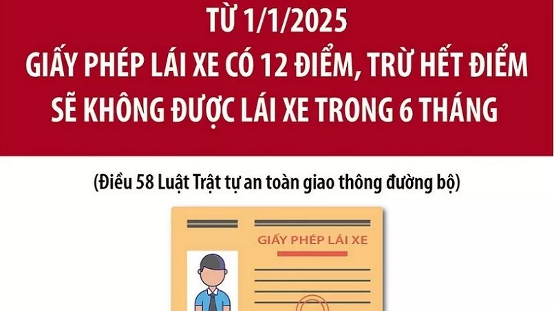 Từ 1/1/2025, giấy phép lái xe ô tô bị trừ hết điểm phải làm gì?