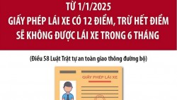 Từ 1/1/2025, giấy phép lái xe ô tô bị trừ hết điểm phải làm gì?