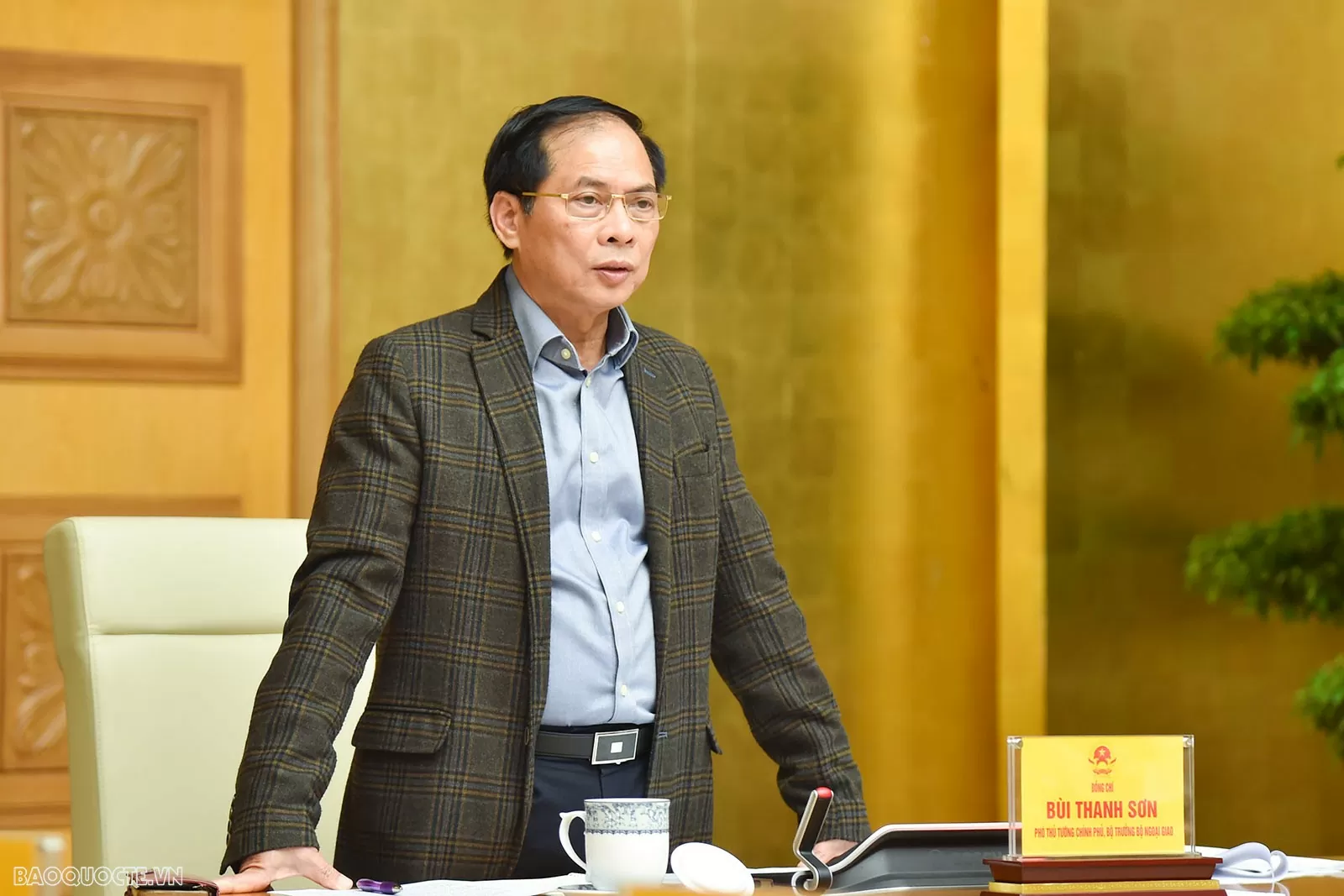 Deputy PM Bui Thanh Son urges proactive review, implementation of int'l cooperation agreements