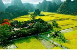 Đền Thái Vi, Ninh Bình: ‘Nét chấm phá’ giữa vùng quê Bắc Bộ