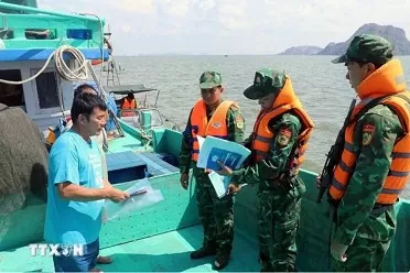 Kien Giang makes progress in IUU fishing combat