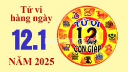 Tử vi hôm nay, xem tử vi 12 con giáp hôm nay ngày 12/1/2025: Tuổi Ngọ tài lộc thịnh vượng